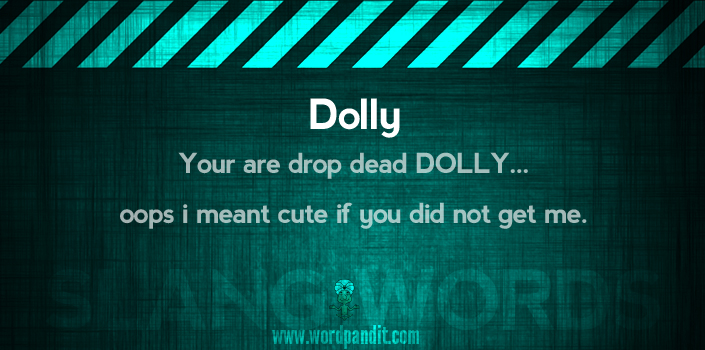 Picture for dolly