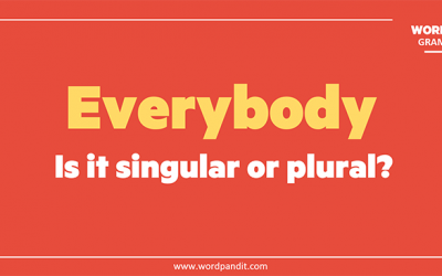 Everybody: Is it singular or plural?