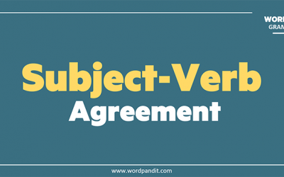 Subject Verb Agreement