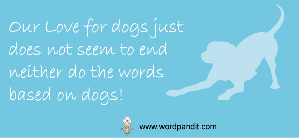 dog-related-words words related to dogs