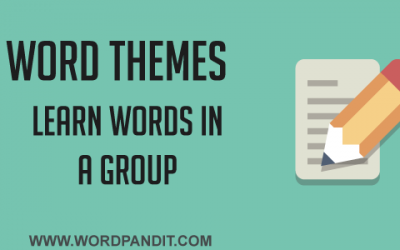 Words of and about Hair