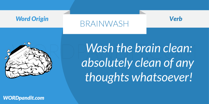 picture for brainwash