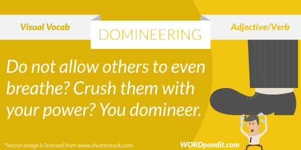 picture for domineering