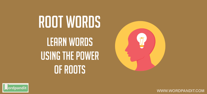 Root Words