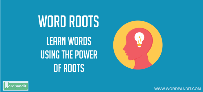 Roots of words