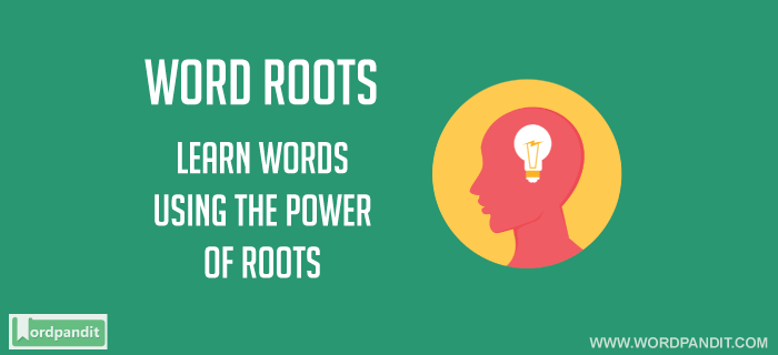 Word Roots