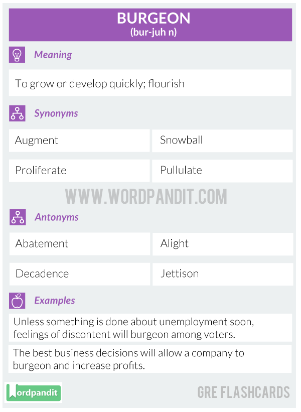 Burgeon-Gre-Flashcard