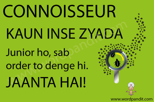 picture and mnemonic for connoisseur