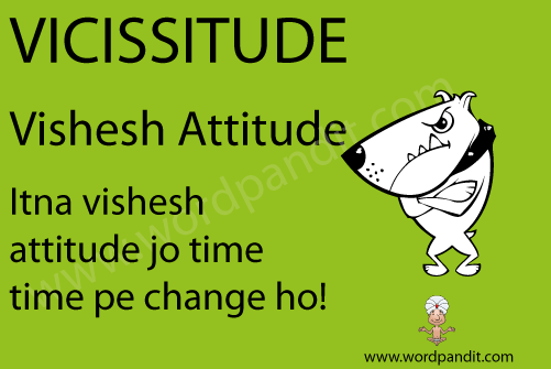 picture and mnemonic for vicissitudes