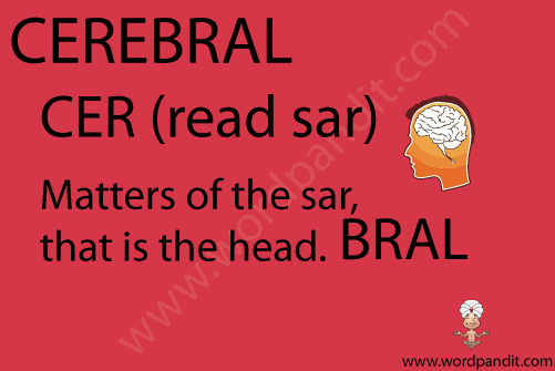 picture and mnemonic for cerebral