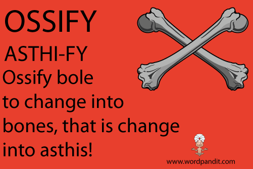 picture and mnemonic for ossify
