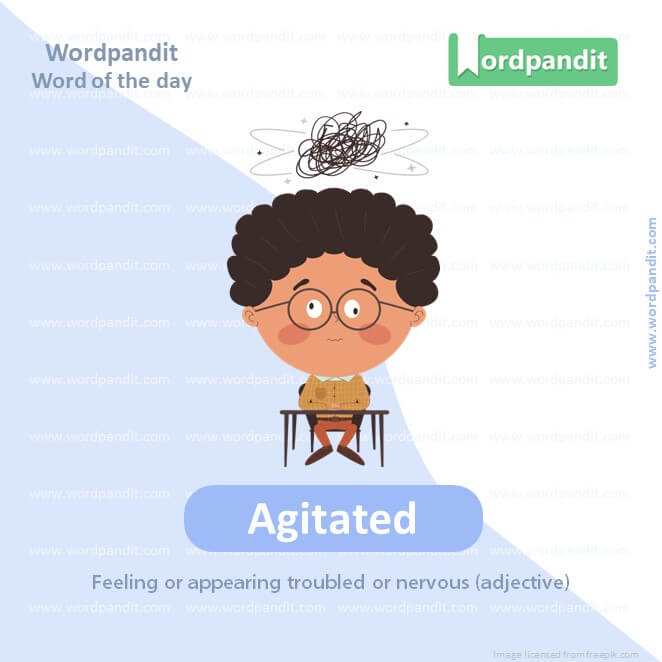 Agitated Picture Vocabulary