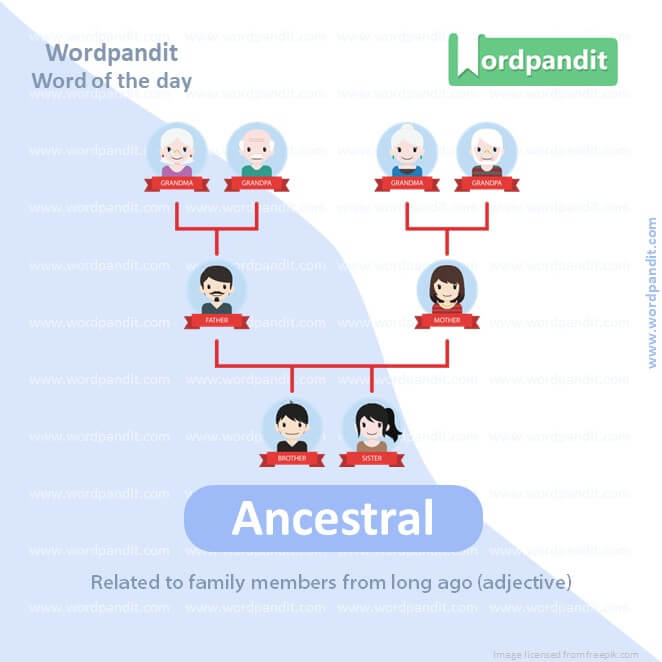 Ancestral Picture Vocabulary
