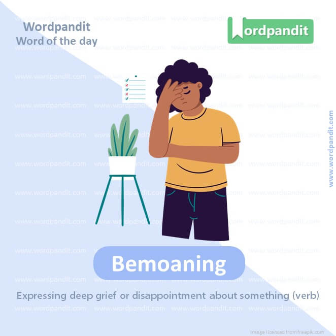 Bemoaning Picture Vocabulary