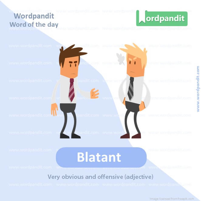 Blatant Picture Vocabulary