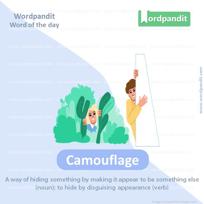 Camouflage Picture Vocabulary