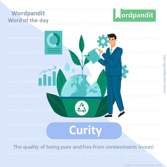 Curity Picture Vocabulary