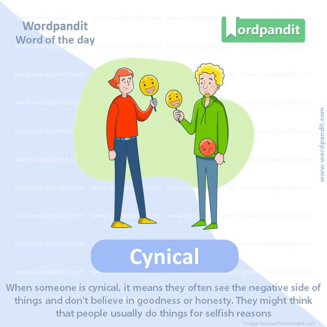 Cynical Picture Vocabulary