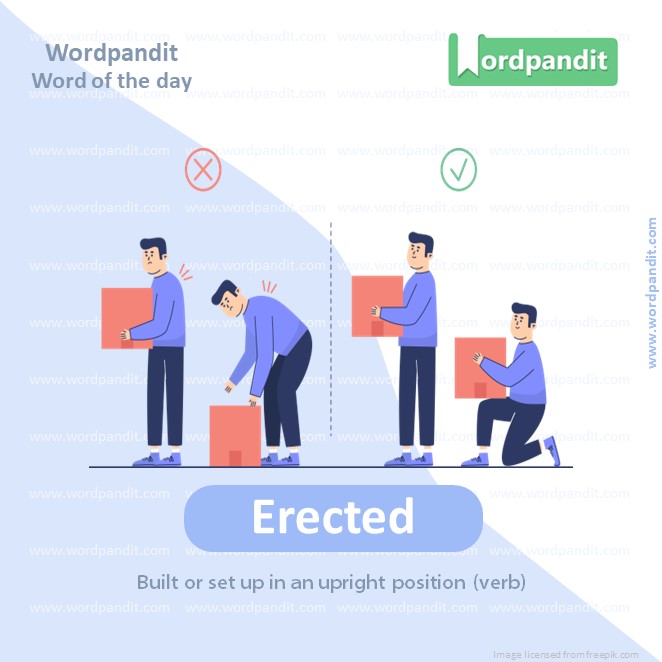 Erected Picture Vocabulary