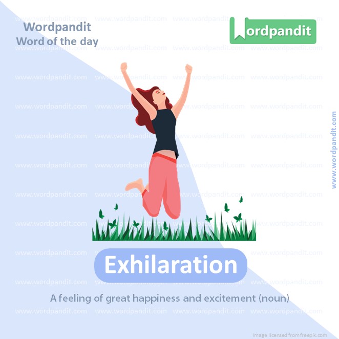 Exhilaration Picture Vocabulary