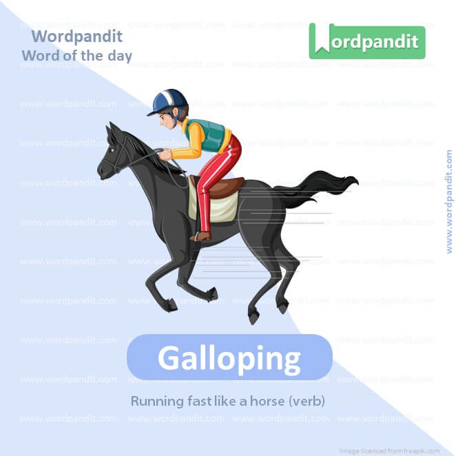 Galloping Picture Vocabulary