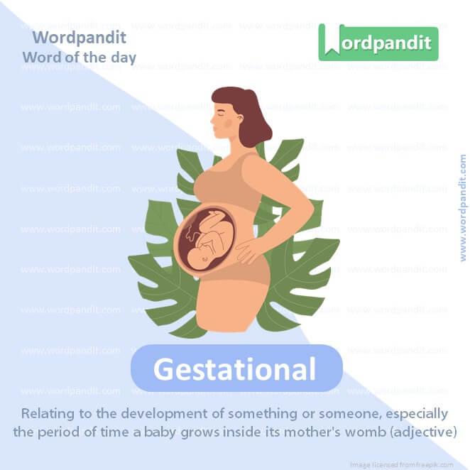 Gestational Picture Vocabulary