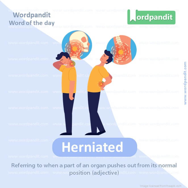 Herniated Picture Vocabulary