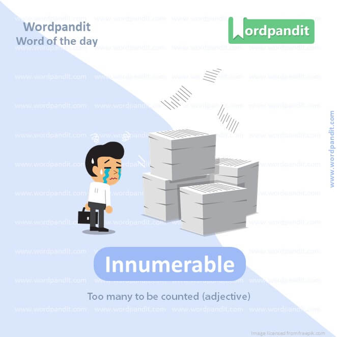 Innumerable Picture Vocabulary