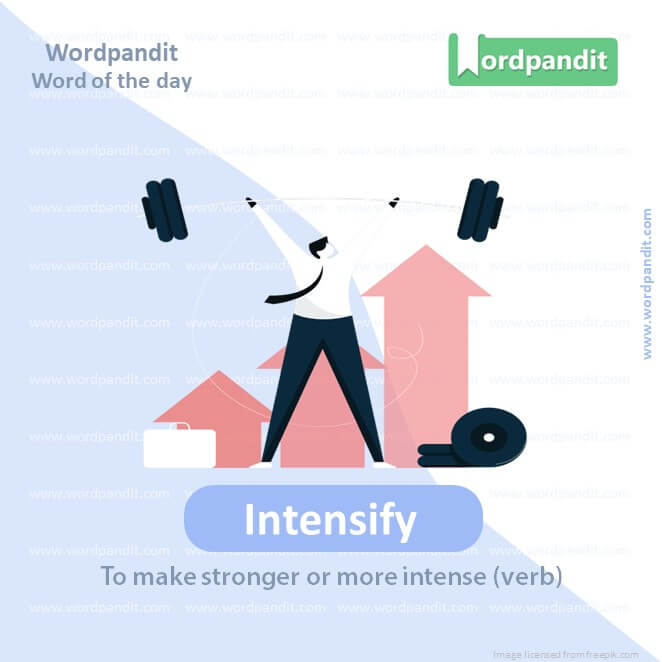 Intensify Picture Vocabulary