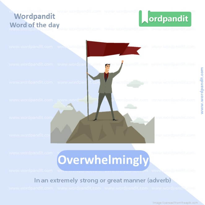 Overwhelmingly Picture Vocabulary