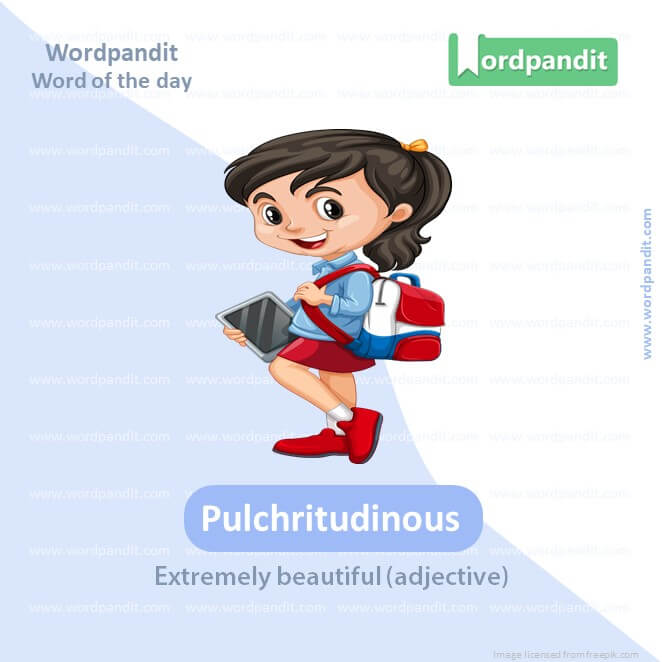 Pulchritudinous Picture Vocabulary