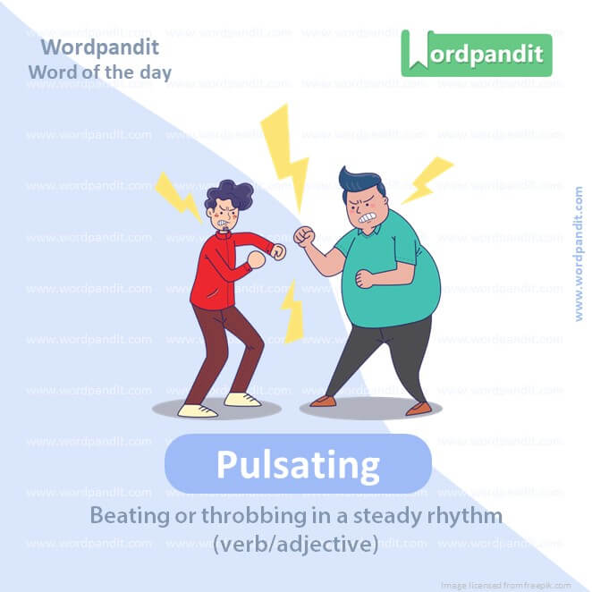 Pulsating Picture Vocabulary
