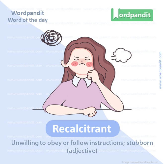Recalcitrant Picture Vocabulary