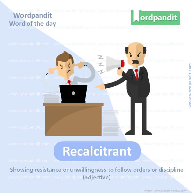 Recalcitrant Picture Vocabulary