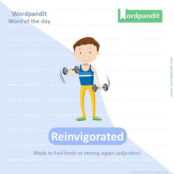 Reinvigorated Picture Vocabulary