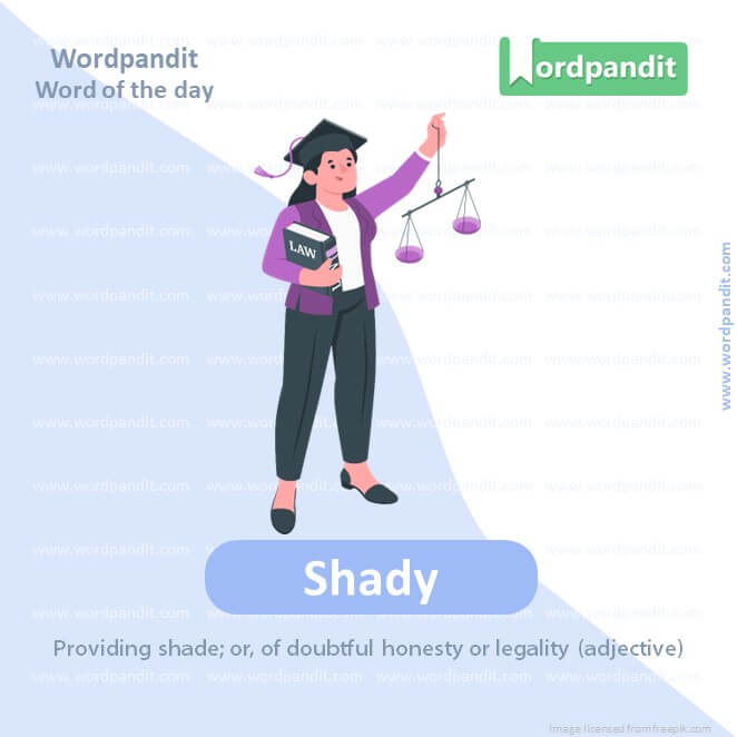 Shady Picture Vocabulary