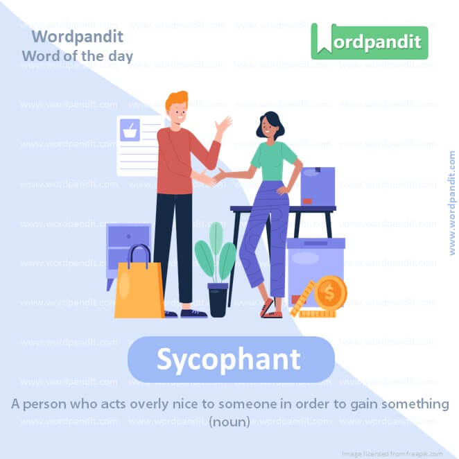 Sycophant Picture Vocabulary