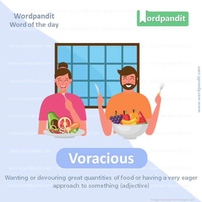 Voracious Picture Vocabulary