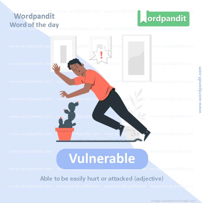 Vulnerable Picture Vocabulary
