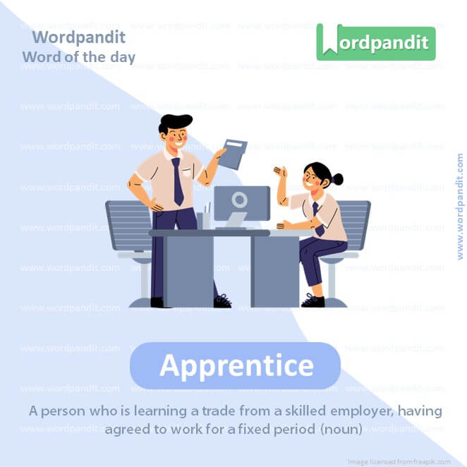 Apprentice Picture Vocabulary