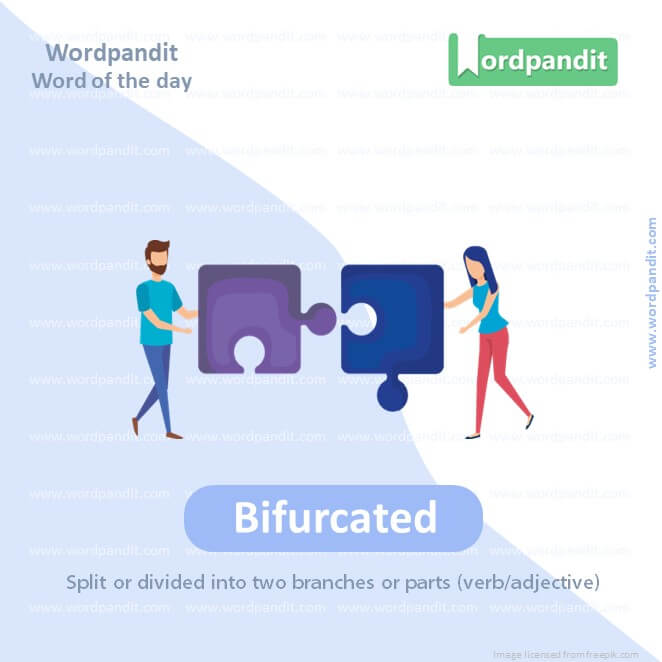 Bifurcated Picture Vocabulary