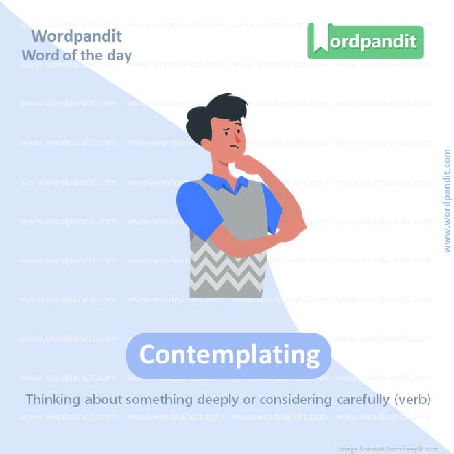 Contemplating Picture Vocabulary