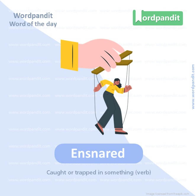 Ensnared Picture Vocabulary