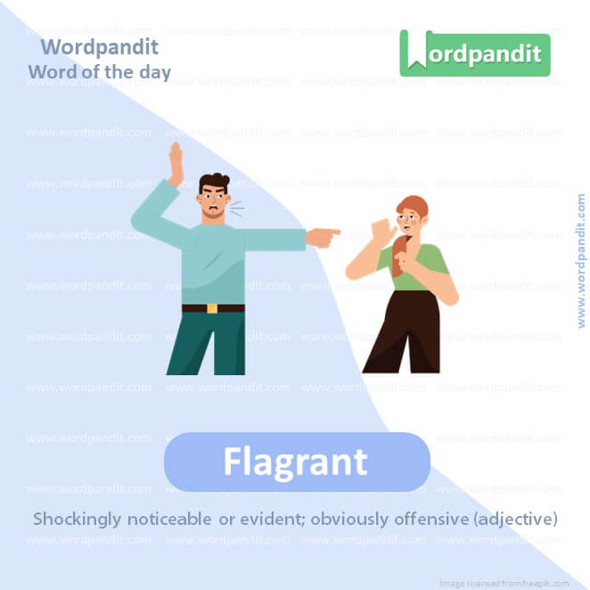 Flagrant Picture Vocabulary
