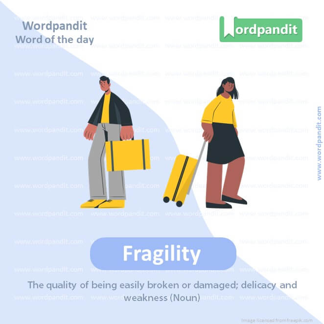 Fragility Picture Vocabulary