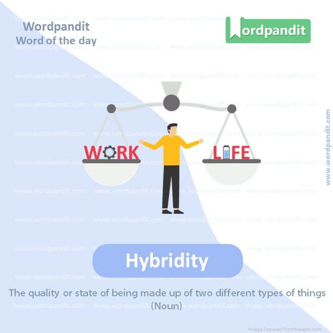 Hybridity Picture Vocabulary