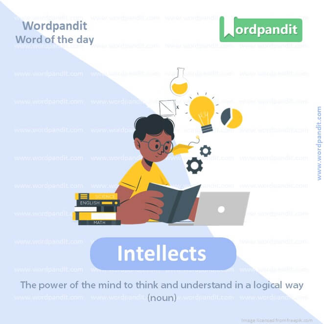 Intellects Picture Vocabulary