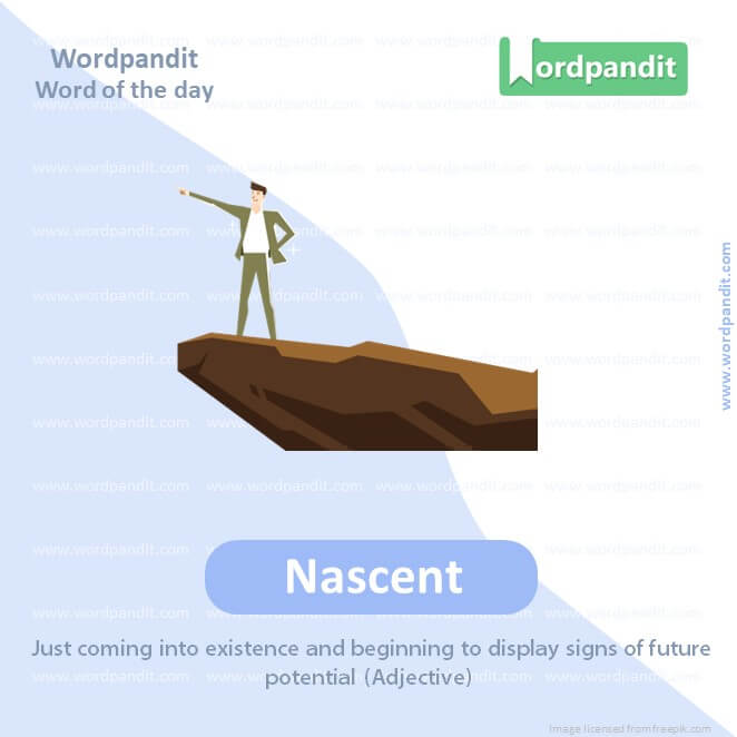 Nascent Picture Vocabulary