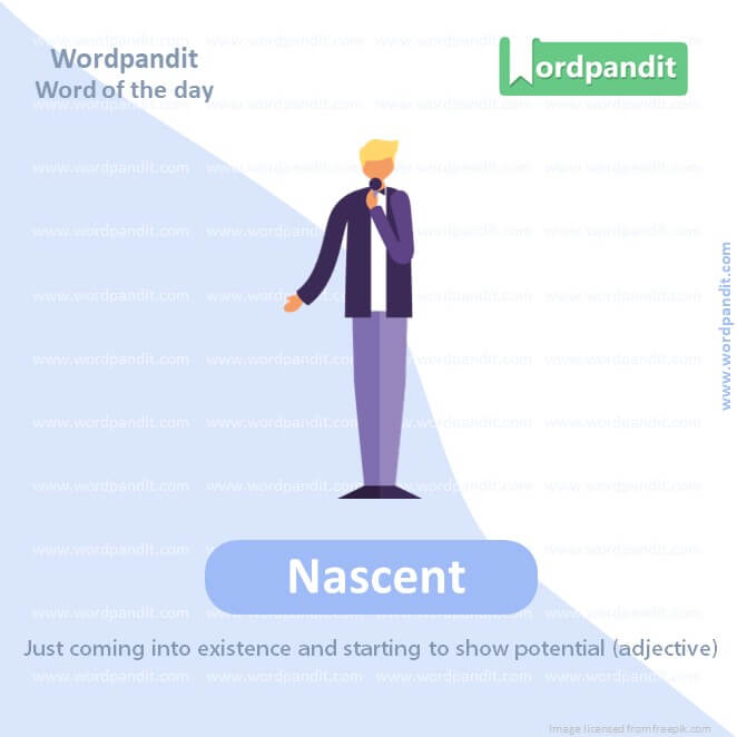 Nascent Picture Vocabulary