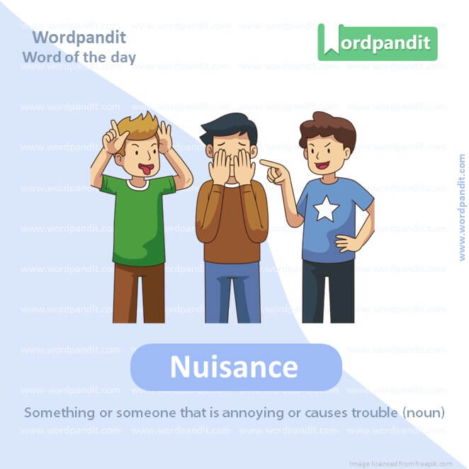 Nuisance Picture Vocabulary